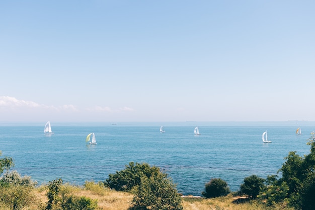 View of the sea and several sailing boats