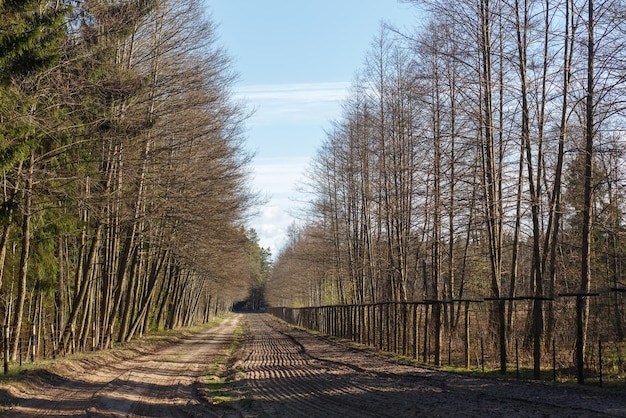 View of the section of the state border