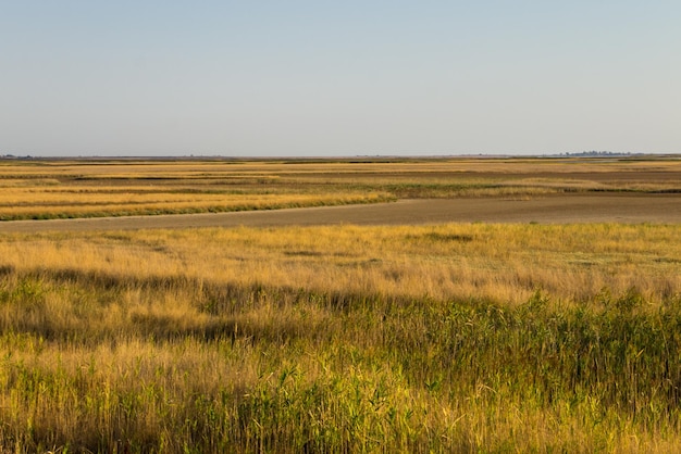 View on the Sivash lake Ukraine