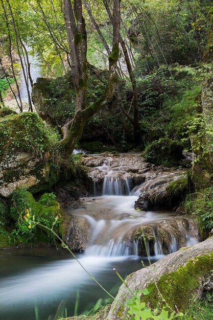 View at the small water cascade in the forest