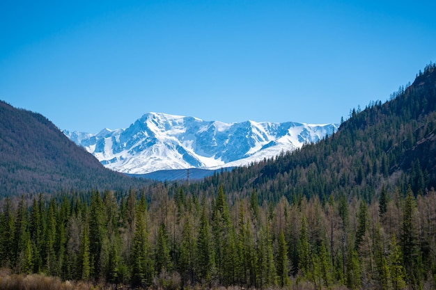 View of the snowcapped mountain range