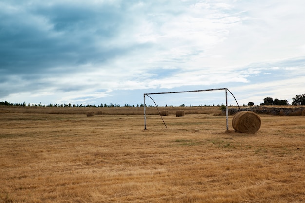 View of soccer door in the harvest field 