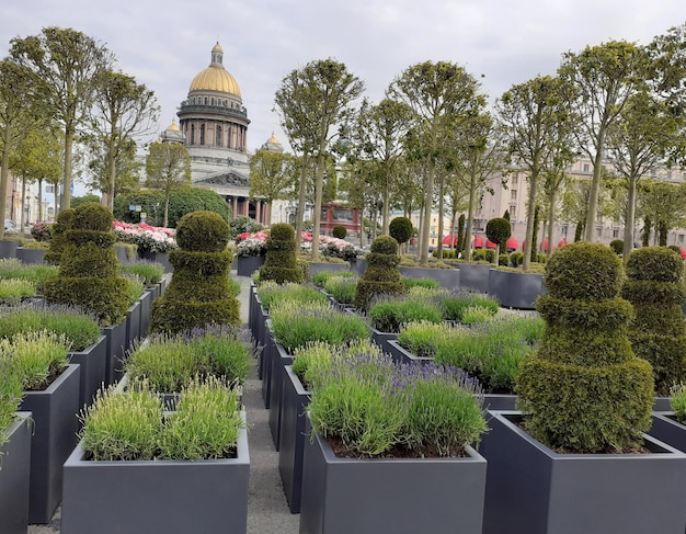 View of St Isaac's Cathedral through the green garden Space for people to relax in the city center