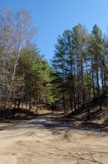 A view of a straight dirt road between two hills with dried trees growing on its both sides and with hills covered in plants and moss seen during a walk in public park during a spring day