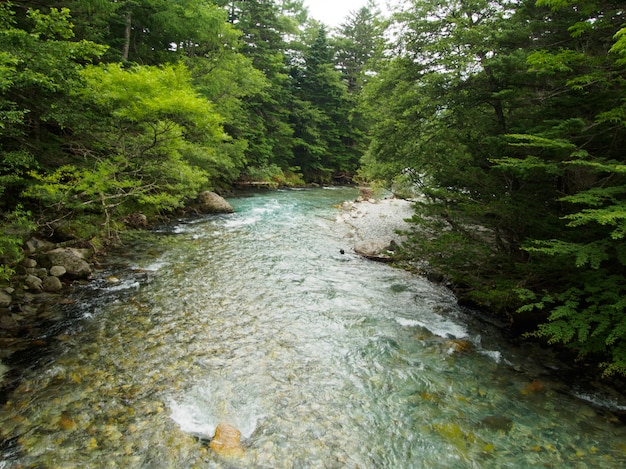 The view of the stream flows down through the forest on the mountain at Kamikochi Japan