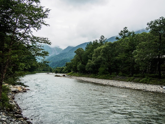 The view of the stream flows down through the forest on the mountain with cloud background at Kamikochi Japan