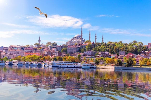 View on the Suleymaniye Mosque from Eminonu pier Istanbul