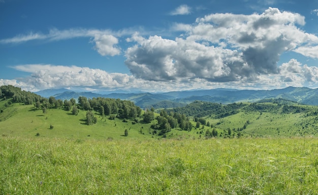 View of a summer day in the mountains green meadows mountain slopes and hills