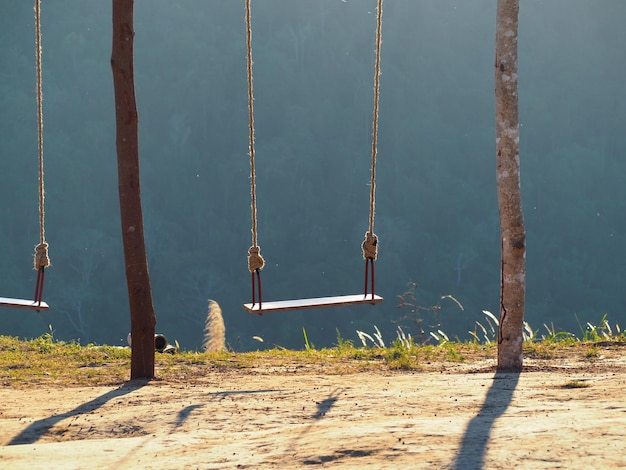 Photo view of swing in park