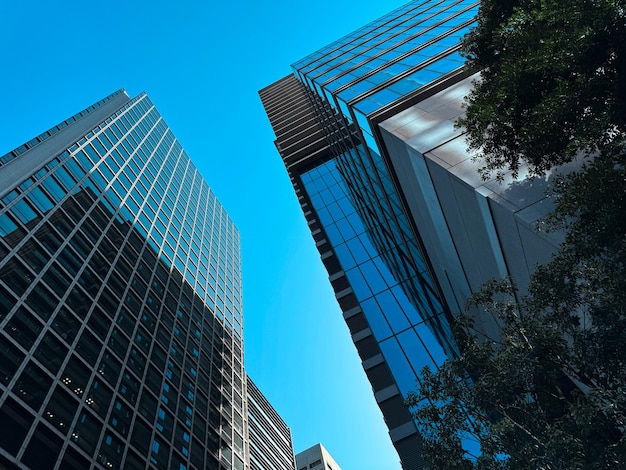 a view of a tall building from the bottom of a tree