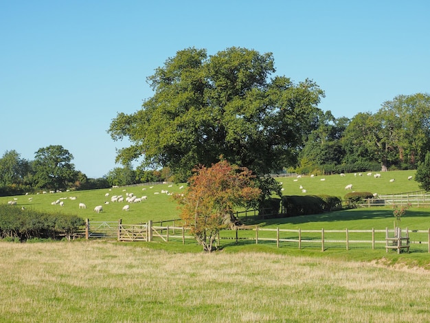 View of Tanworth in Arden