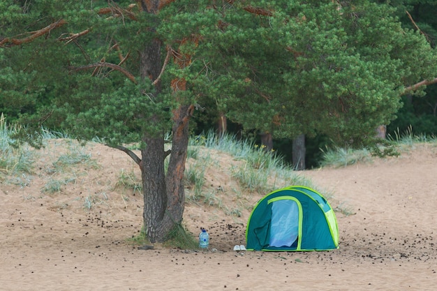 View at a tent under a tree on a sandy beach at dusk