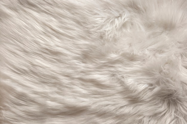 View of textured fur fabric