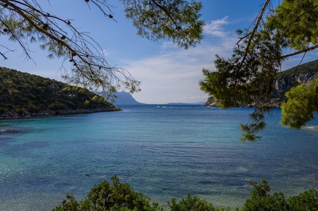 View through the branches of trees on a colorful sea on a clear day