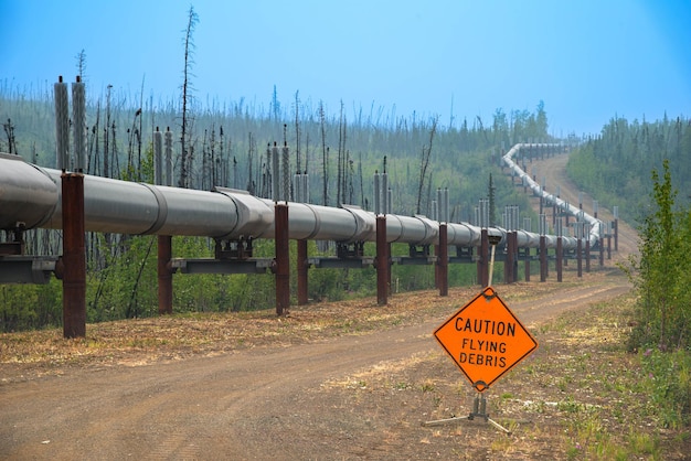 A view of the TransAlaska Pipeline near Dalton Highway USA Alaska