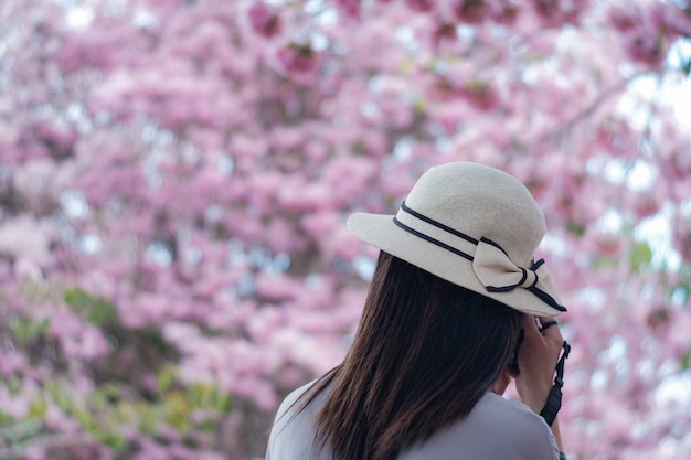 view of a traveling woman with nice hat is taking pictures on pink flower background.