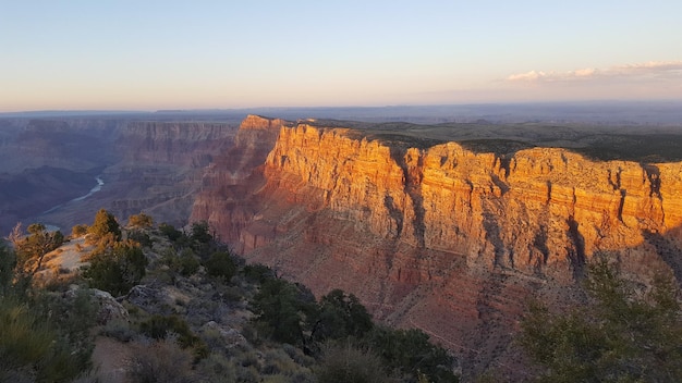 Photo view of trees on cliff