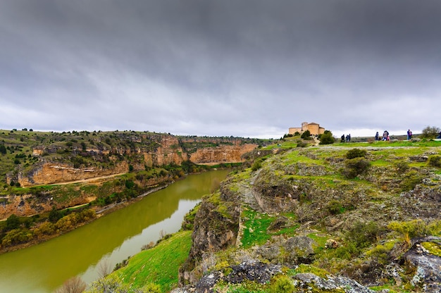 Photo view of trees on landscape