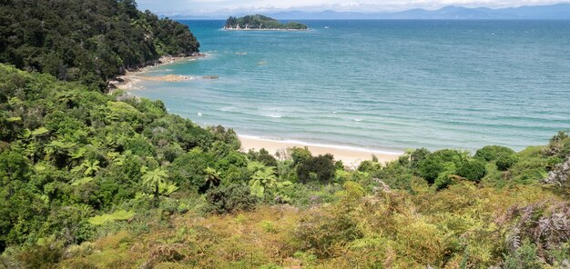 View on tropical coast with beaches shot in abel tasman national park new zealand