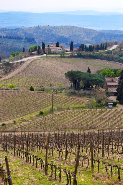 View of  typical Tuscan landscape and a valley with vineyards, in the province of Siena. Tuscany, Italy