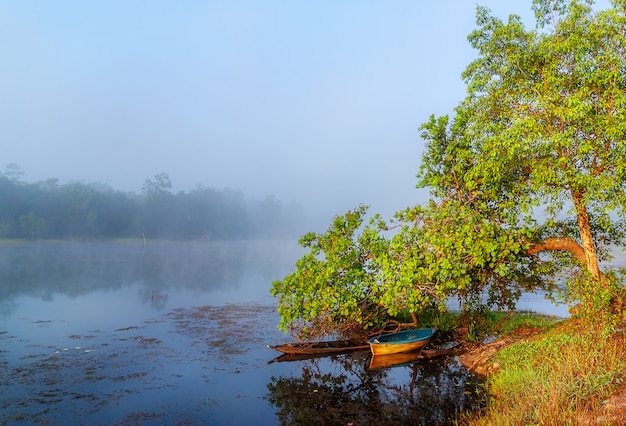 View water river tree in mist, River and fishing boat in mist rural countryside