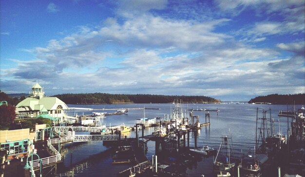 Photo view of waterfront during daytime