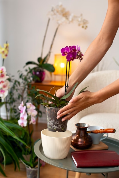 View of woman decorating her home with orchid flower