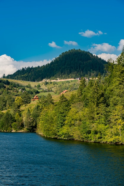 View at Zaovine lake in Serbia