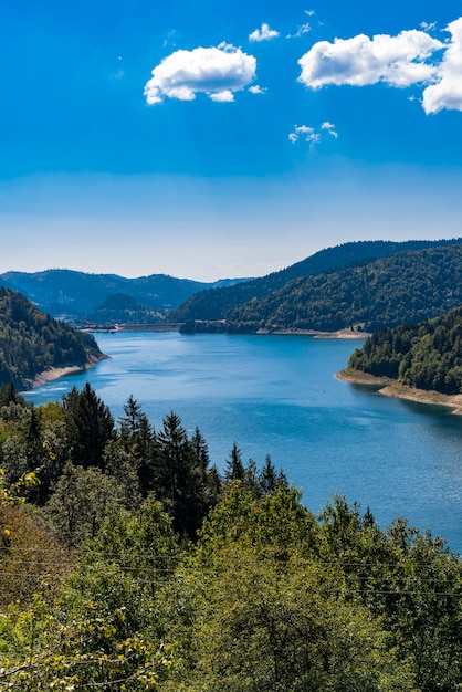 View at Zaovine lake in the Serbia