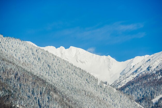 Views from city Liptovsky Mikulas to West Tatras in winter time with snowy trees  and cloudy sky.