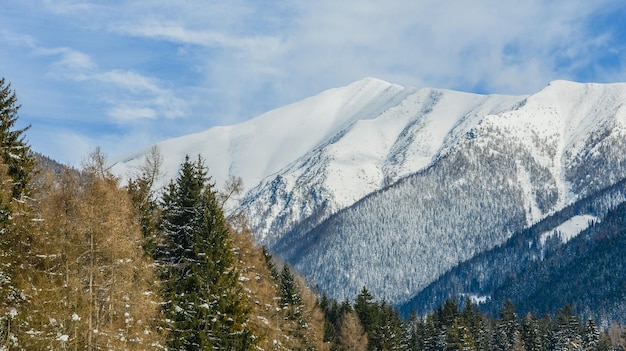 Views from city Liptovsky Mikulas to West Tatras in winter time with snowy trees  and cloudy sky.