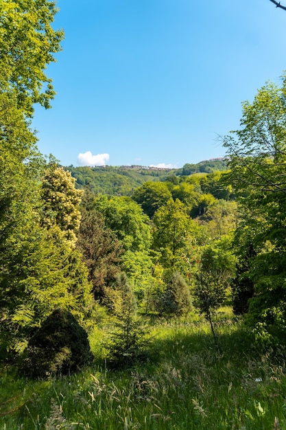 Views of the Pagoeta park in Aia Gipuzkoa Basque Country