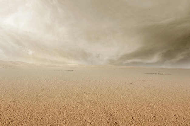 Views of sand dune