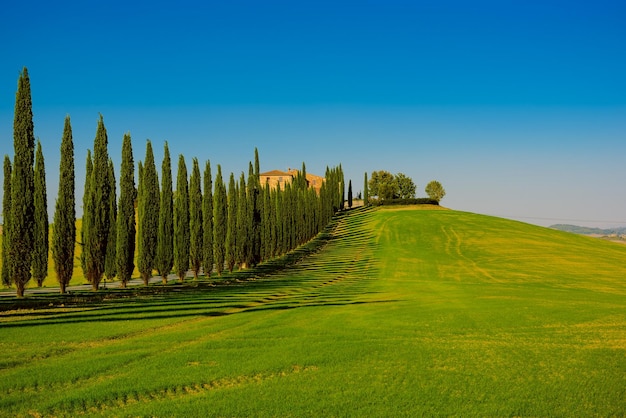 Villa in Tuscany with cypress road and blue sky idyllic seasonal nature landscape vintage hipster background