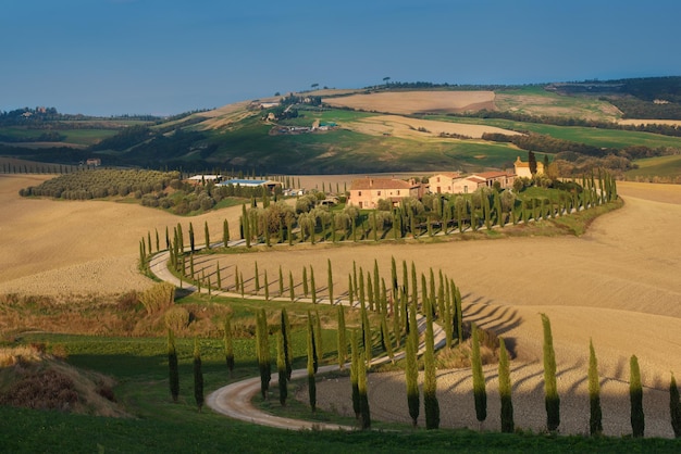 Villa in Tuscany with cypress road idyllic seasonal nature landscape vintage hipster background