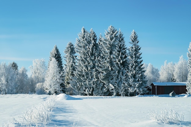 Village Cottage at Snowy winter, Finland in Lapland at Christmas