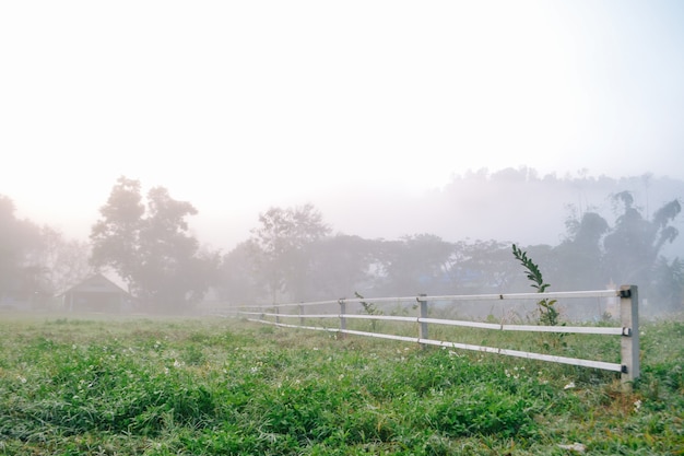 Village among mountain and fog