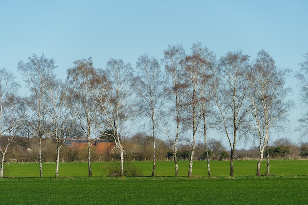 the village of Weseke in the german muensterland