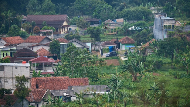 A village with a red roof and a blue roof