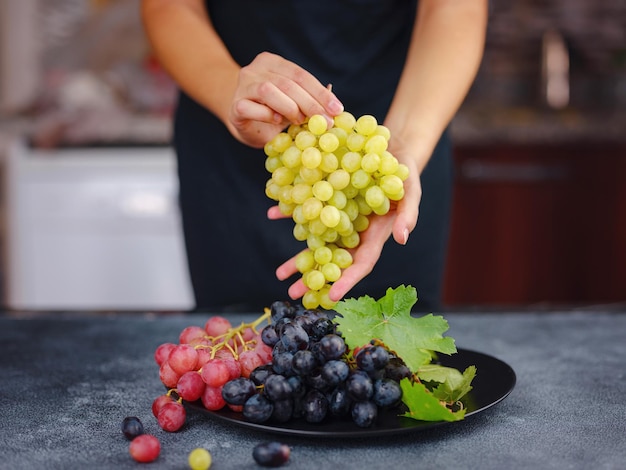 Vineyard Harvest in autumn season