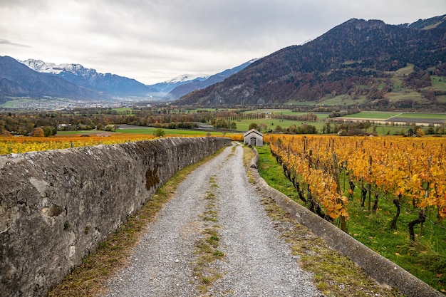 Vineyard and a small barn near Jenins Switzerland in the Autumn