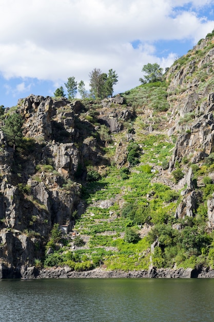 Vineyards along River Sil, Ribeira Sacra, Lugo, Spain