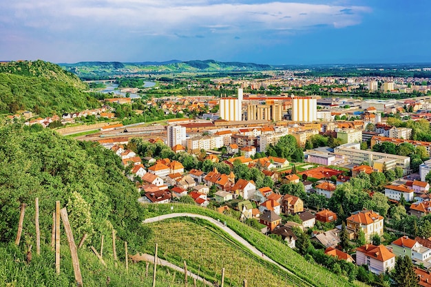 Vineyards on Piramida Hill and cityscape of Maribor, Lower Styria, Slovenia