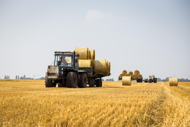 VinnitsaUkraine July 262016huge tractor collecting haystack in the field at nice blue sunny dayTractor collecting straw balesAgricultural machine collecting bales of hayharvest concept