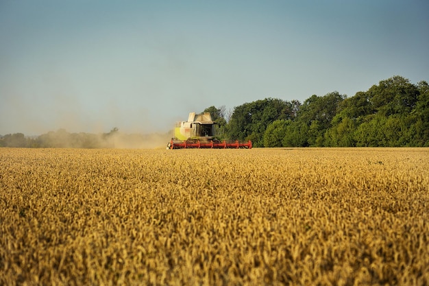 VinnitsaUkraine July 272016Grain harvesting combineSummer Landscape of endless Fields under blue skyunloading grainsharvesting the wheat on a sunsetAgricultureworknature and concept