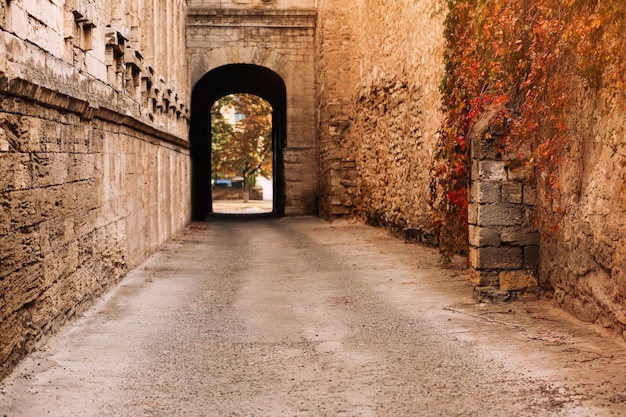 Vintage arch and passway between old buildings on city street