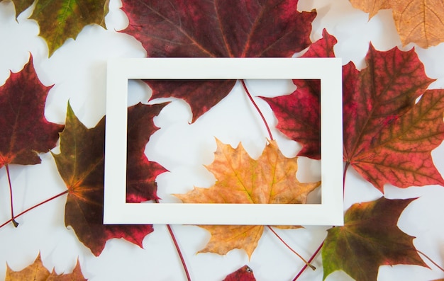 vintage banner with autumn leaves frame with copy space