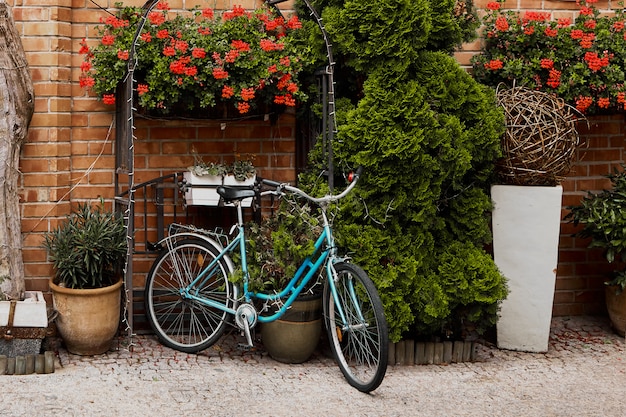 Vintage bicycle on brick wall with flowers, retro stylish in old town, blue retro bike.