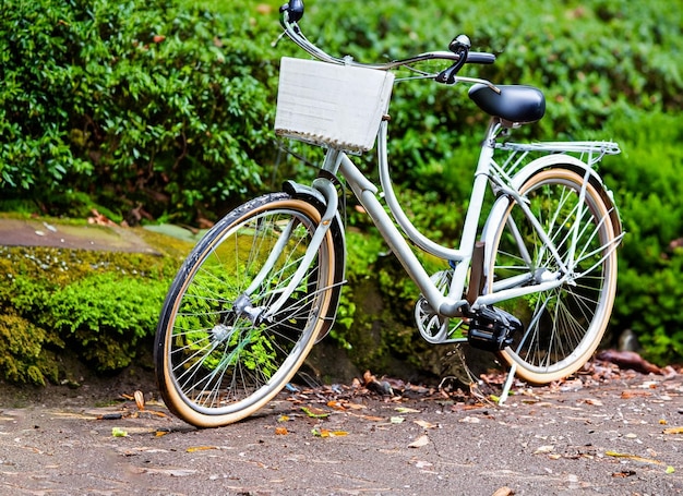 Vintage bicycle outdoors