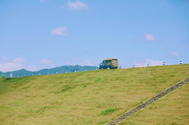 Vintage blue Truck with harvest green field driving on the mountain road.